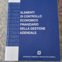 Elementi di controllo economico finanziario