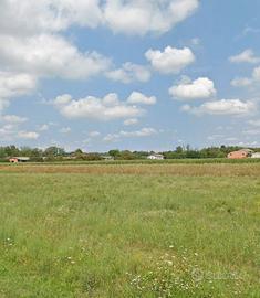 Terreno agricolo fertile
