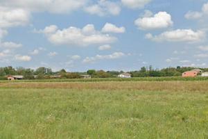 Terreno agricolo fertile