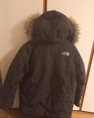 Parka North Face 