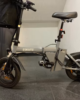 E bike