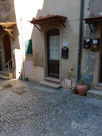appartamento centro storico Bibbona 