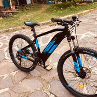 Bicicletta a pedalata assistita