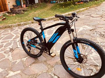 Bicicletta a pedalata assistita