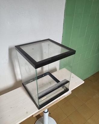 TERRARIO PICCOLI RETTILI