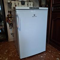 Refrigeratore/congelatore ELECTROLINE