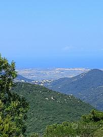 Terreno panoramico con rudere Gallurese