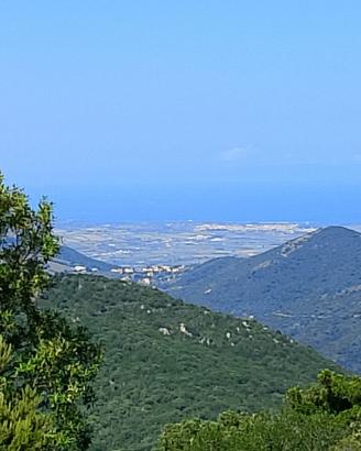 Terreno panoramico con rudere Gallurese
