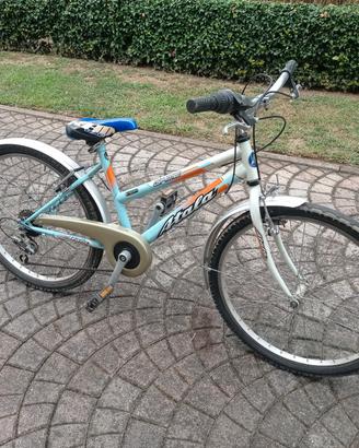 Bicicletta