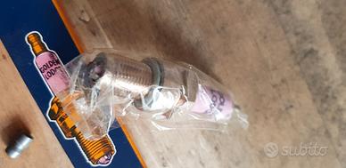 Candele rosa GOLDEN LODGE HL - 4 Punte