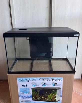 Acquario