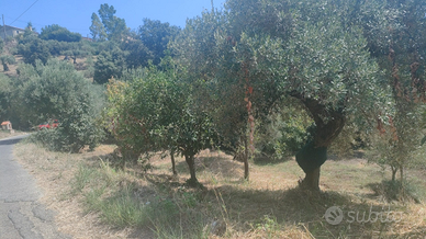 Terreno agricolo Località San Marco Acquavella