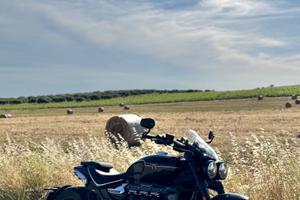 Triumph Rocket 3 R Storm - 2025