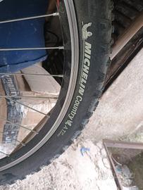 bicicletta mountain bike