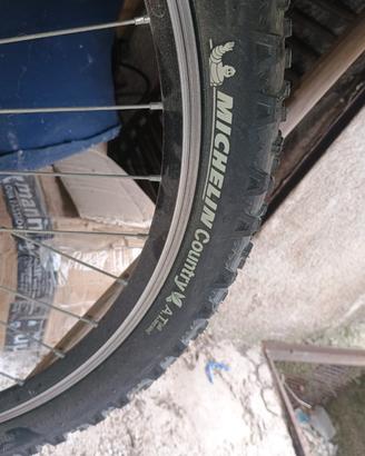 bicicletta mountain bike