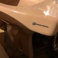 Set sanitari bagno vintage Pozzi Ginori colorati