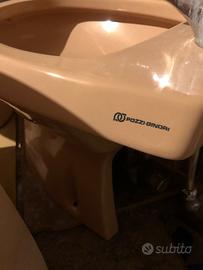 Set sanitari bagno vintage Pozzi Ginori colorati