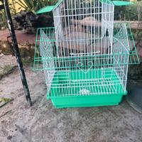 Gabbia per Uccielli Nuova