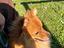 Immagine 4