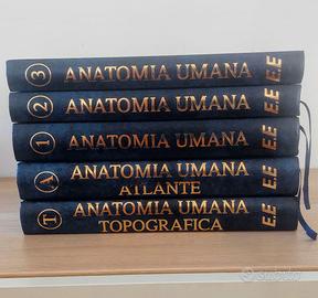 Trattato di Anatomia Umana di Anastasi