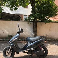 Malaguti F12 (nuovo)