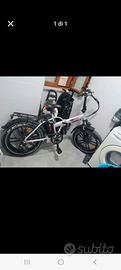 bicicletta elettrica 250 Watt 
