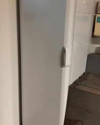 Congelatore Indesit ad armadio