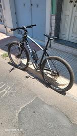 Mtb focus 29