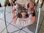 Immagine 1