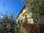 Immagine 9