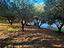 Immagine 20