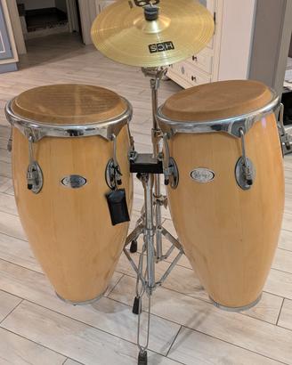 CONGAS