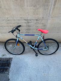 Mountain bike vintage