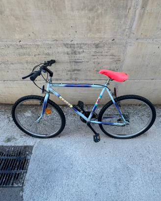Mountain bike vintage