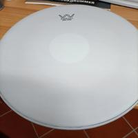 Wambooka Paso Doble  22"