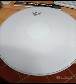 Wambooka Paso Doble  22"