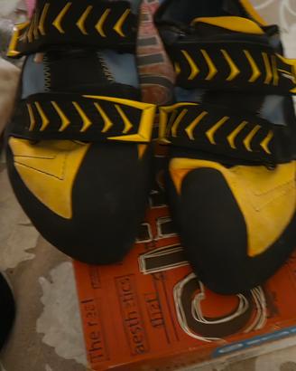 scarpe da arrampicata sportiva 