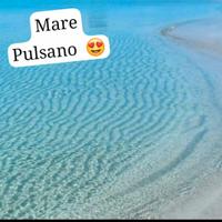 Pulsano (TA) Trilocale Estate 2026