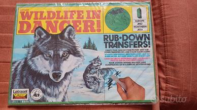 lotto letraset trasferelli