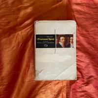 I promessi sposi (Libro 1998) Einaudi