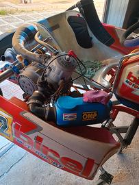 go kart Birel motore Tm