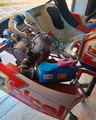 go kart Birel motore Tm