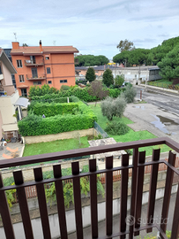 Camera singola Tor Vergata per studentesse