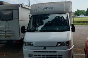 Camper Elnagh JOXY 36