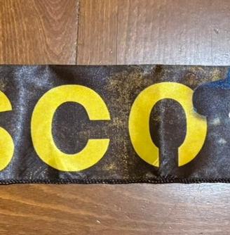Fascia Vasco Rossi 019