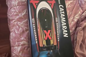 Catamarano elettrico