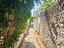 Immagine 14