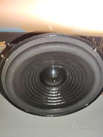 subwoofer 