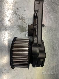 Pignone finale completo Tmax 530