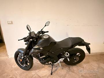 Mt 125 2024